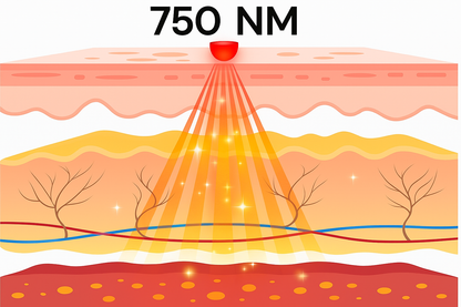 ThermoConfort - Ceinture Lombaire chauffante